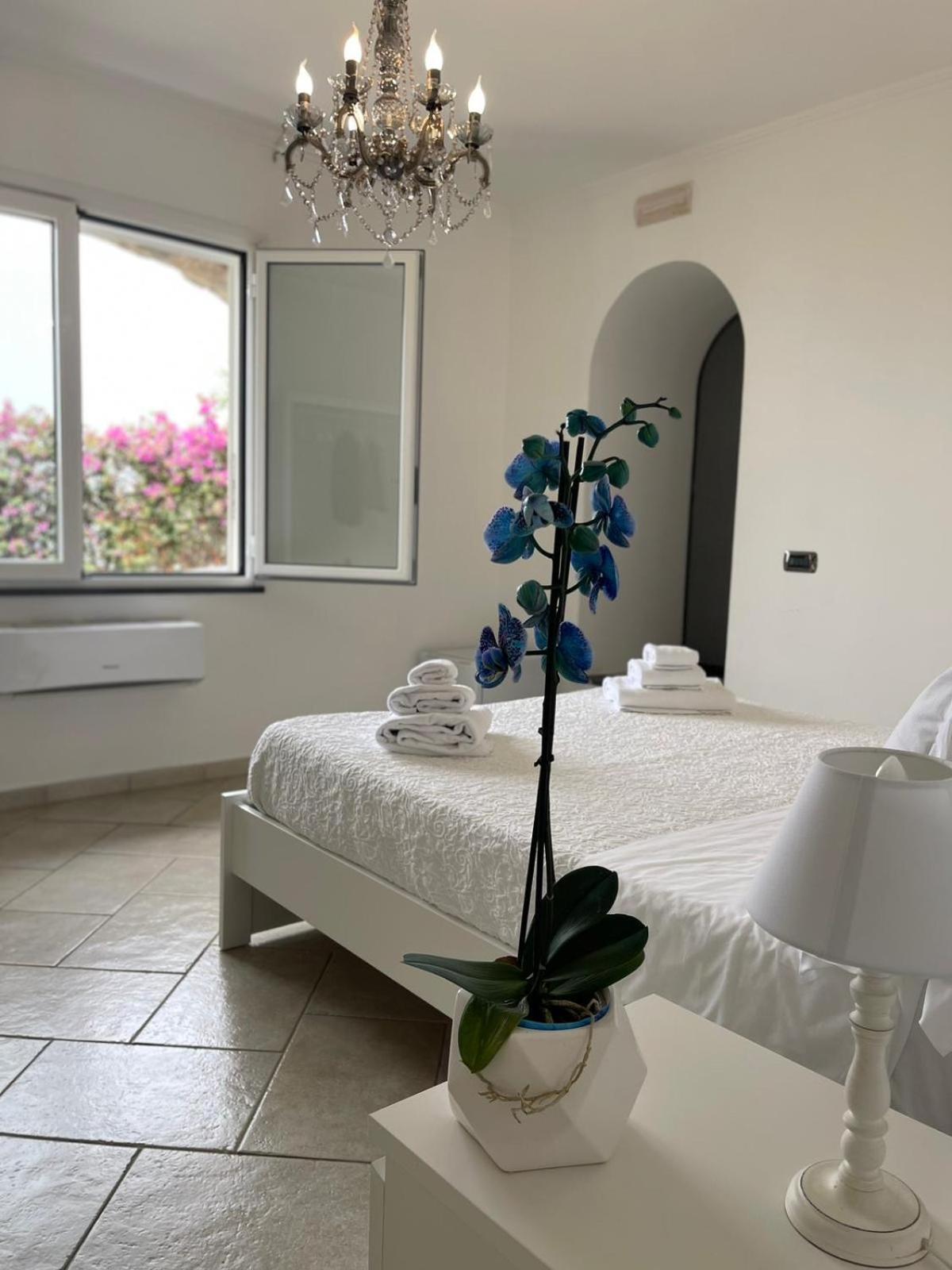Villa Valentina Suite Massa Lubrense Dış mekan fotoğraf