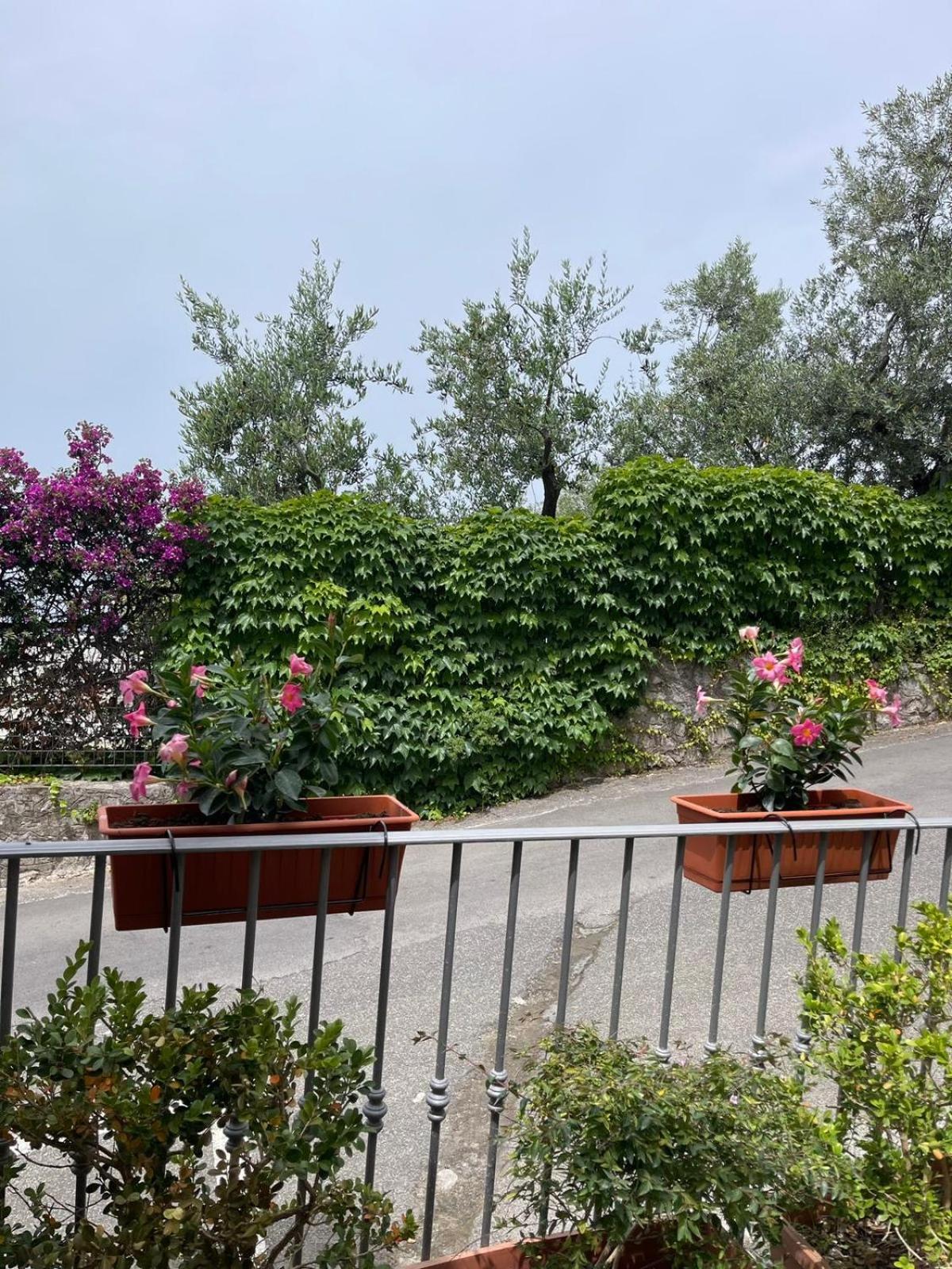 Villa Valentina Suite Massa Lubrense Dış mekan fotoğraf